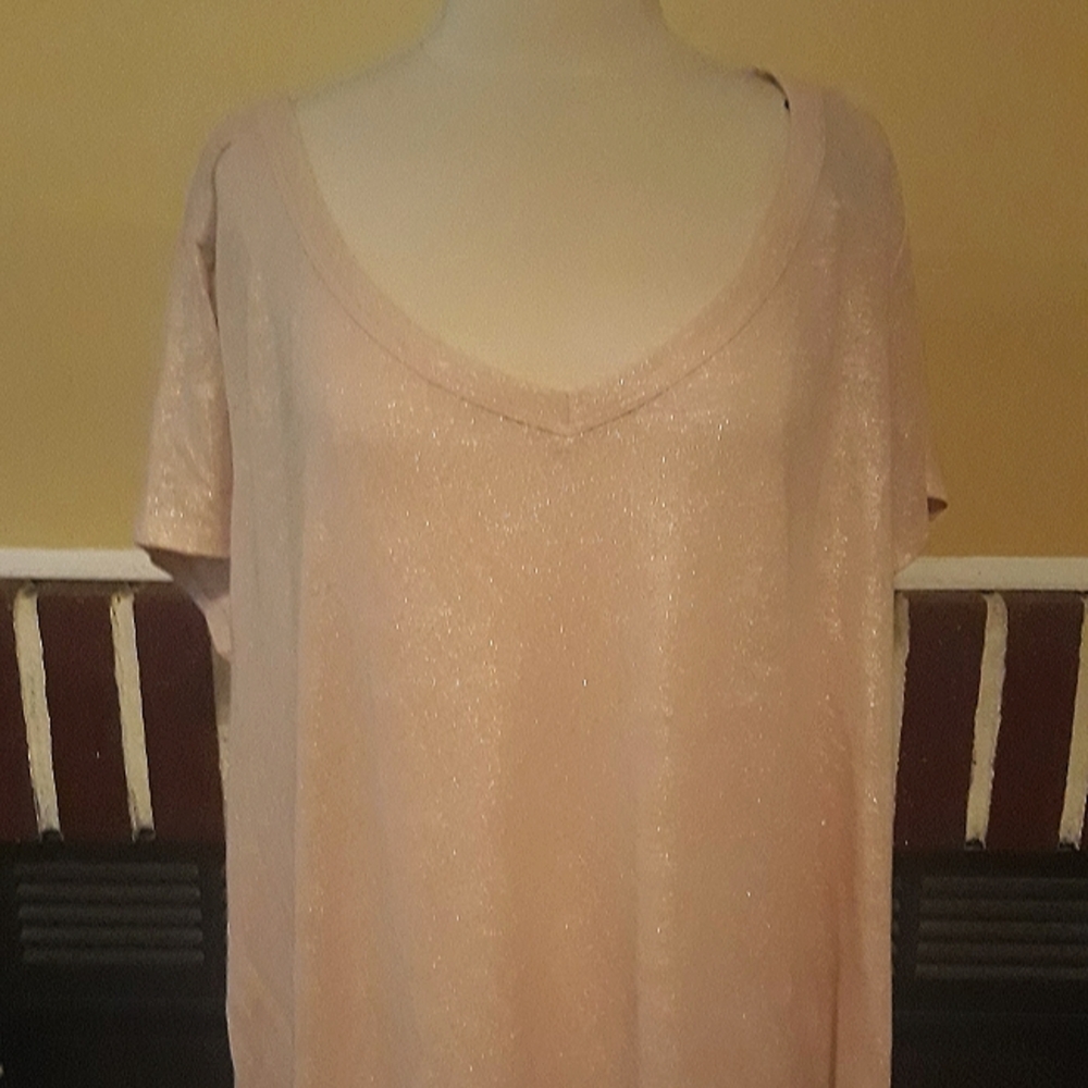 Lane Bryant Light Pink Shimmer Top